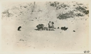 Image of Packing Sledge for trip